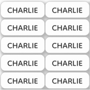 Ensemble de 10 étiquettes nominatives simples aux 