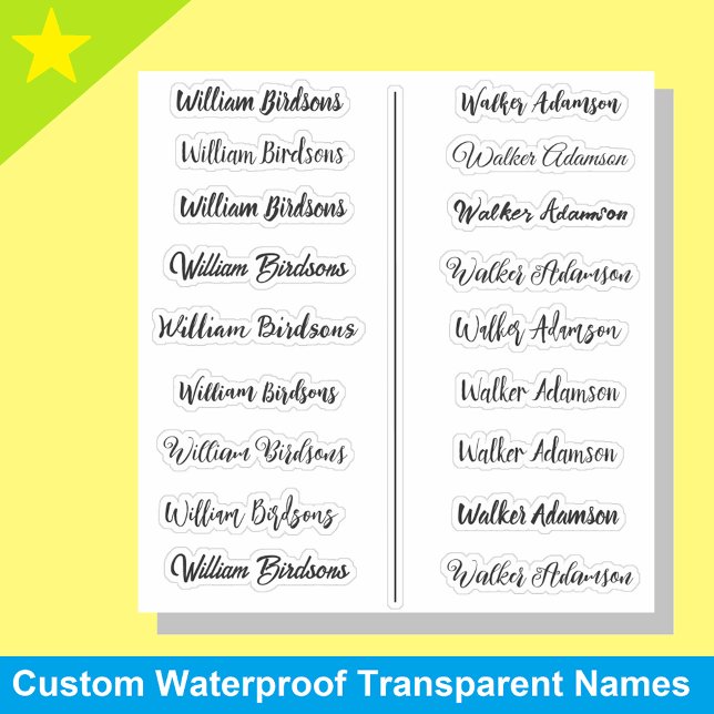 (Ensemble de 18) Stickers de nom simple transparen (Transparent name stickers)