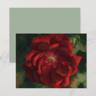 Ensemble de cartes de notes Fleur d'art Rose rouge