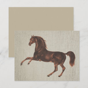 Ensemble de cartes de notes illustrées de cheval c