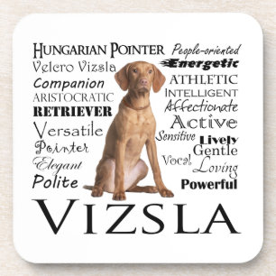 Ensemble de dessous de verre de traits de Vizsla
