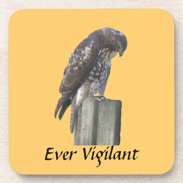 Ensemble de dessous de verre - Falcon - Ever Vigil (Devant)