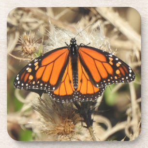 Ensemble de dessous de verre fauniques, papillon M
