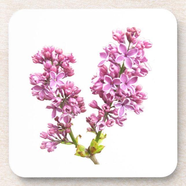 Ensemble de dessous de verre - Fleurs Lilac (Devant)