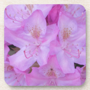 Ensemble de Dessous de verre floraux roses