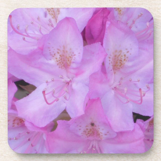 Ensemble de Dessous de verre floraux roses (Devant)