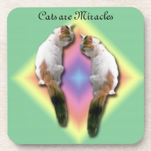 Ensemble de dessous de verre - Les chats sont des
