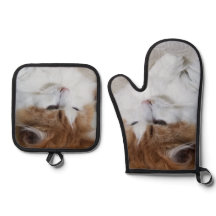 (Feline Fancy) Contemplation Kitty : Photo Cat