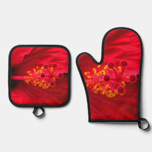 Ensemble De Gant De Cuisine Et De Manique Hibiscus
