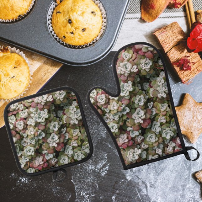 Ensemble De Gant De Cuisine Et De Manique Sedum Spathulifolium Stonecrop (In Situ Kitchen)