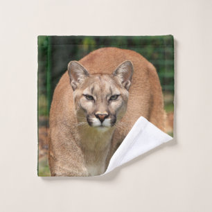 Ensemble de serviette de salle de bains de chat de