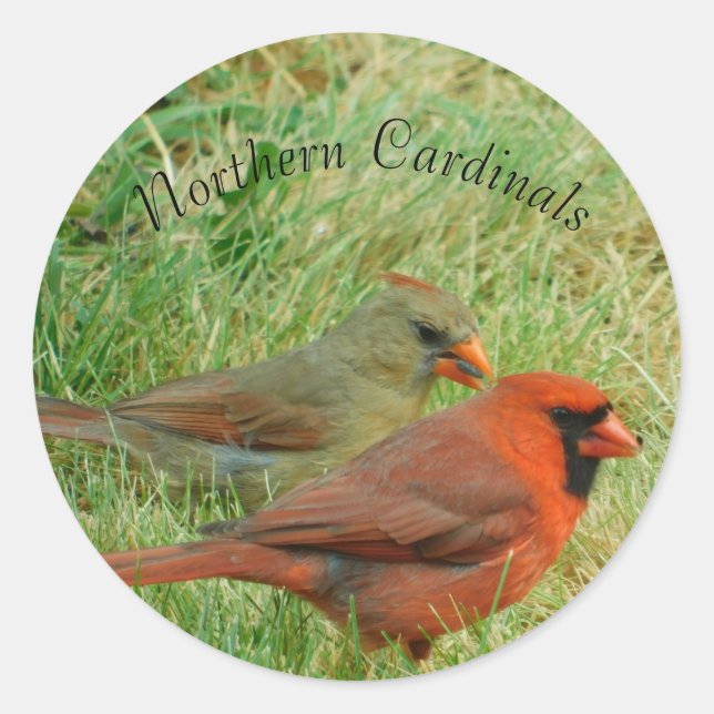Ensemble de stickers cardinaux nordiques masculins (Devant)