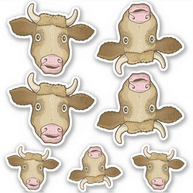 Ensemble de stickers de vache surpris (Devant)