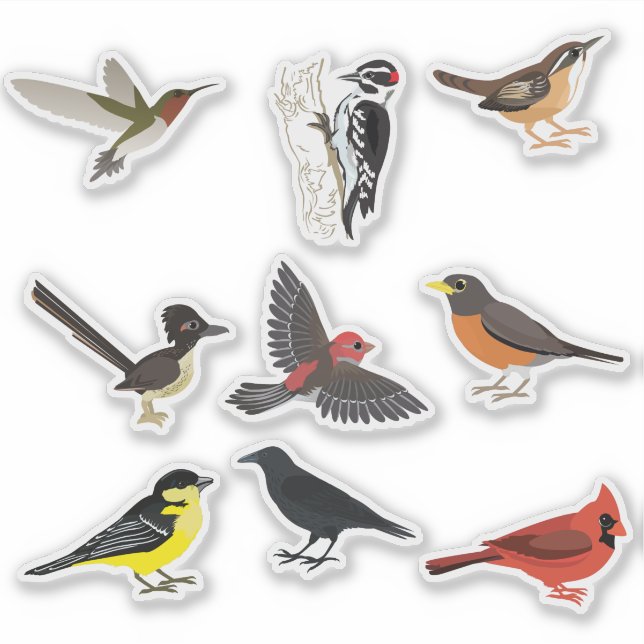 Ensemble de stickers jardin Oiseaux (Devant)