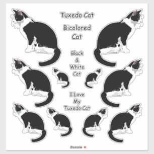 Ensemble de stickers Lg Tuxedo Cats