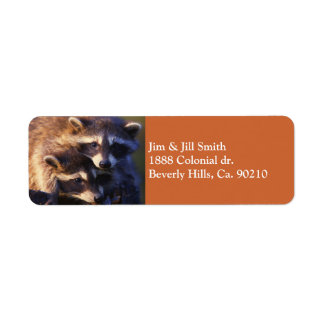 Ensemble des Raccos Forever