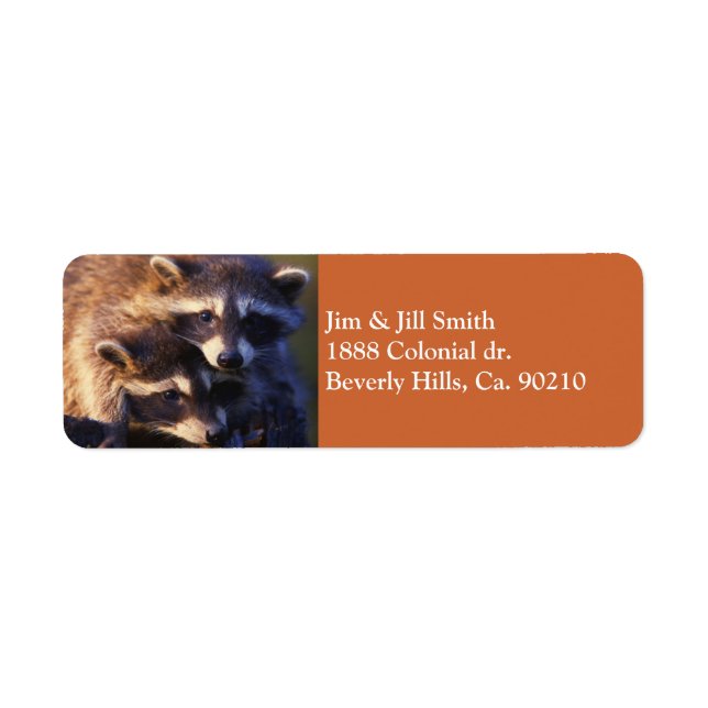 Ensemble des Raccos Forever (Devant)