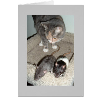 ensemble nous pouvons