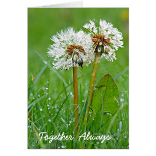 Ensemble. Toujours...