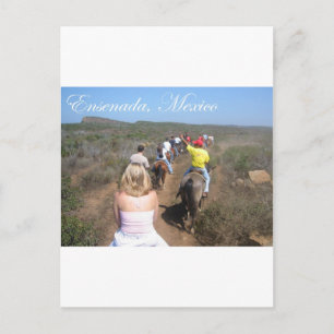 Ensenada, Mexico Postcard