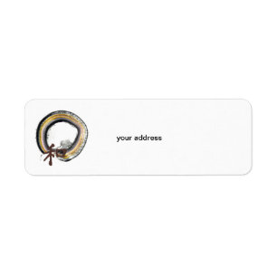 Enso, Harmony in Earth Tones