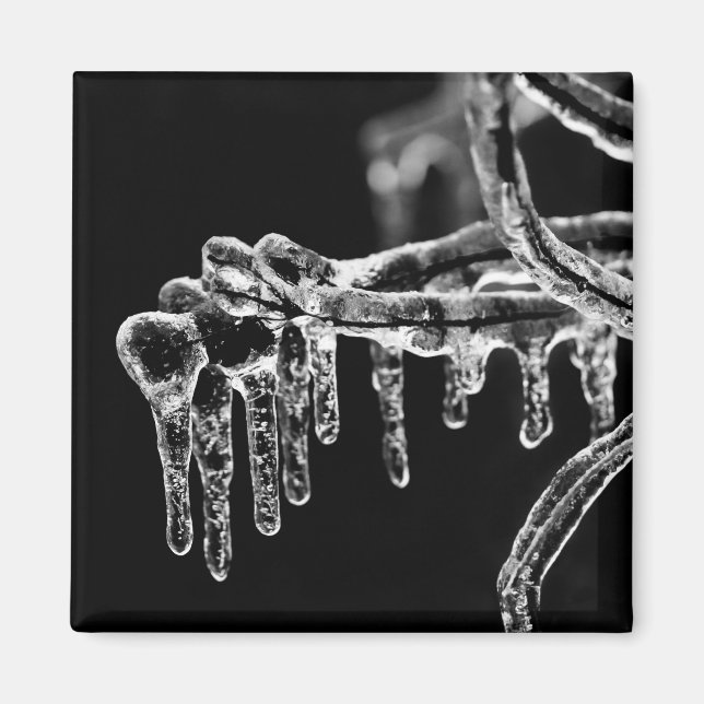 enter icy winter magnet (Front)