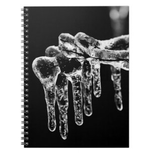enter icy winter notebook