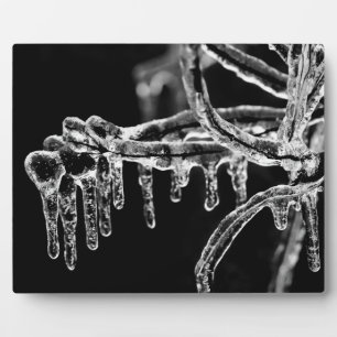 enter icy winter plaque