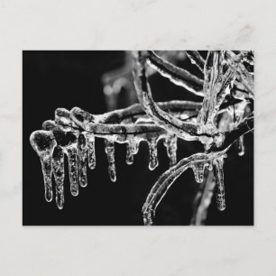 enter icy winter postcard