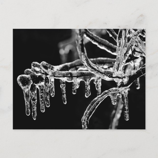 enter icy winter postcard (Front)