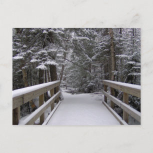 Enter - New Hampshire Snow Scene Postcard