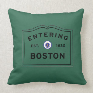Entering Boston Throw Pillow