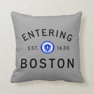Entering Boston Throw Pillow