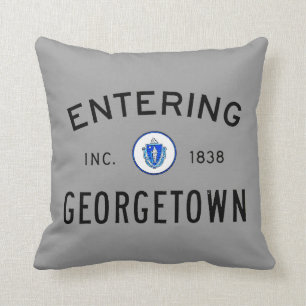 Entering Georgetown Throw Pillow