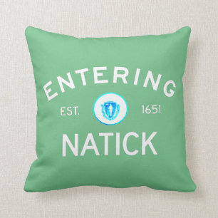 Entering Natick Throw Pillow