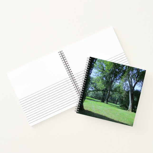 Entering the Greenwood Notebook (Inside)