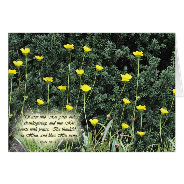 EnterintoHisgatesZazzle (Front Horizontal)