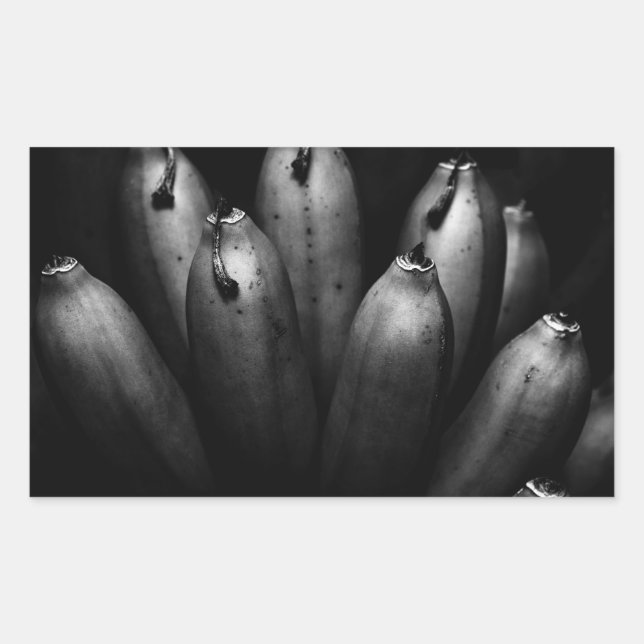 entertaining bunch sticker (Front)