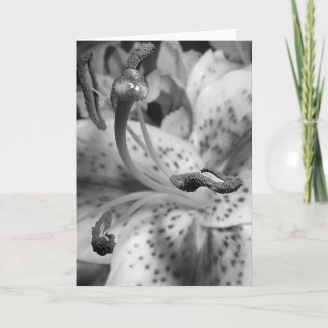 Enticing Lily Card (Front)