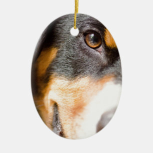 Entlebucher - I've got My Eyes on You! Ceramic Ornament