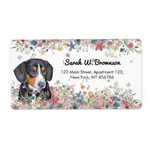 Entlebucher Mountain Chien Chien Chien Chiot jeu