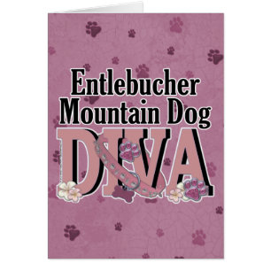 Entlebucher Mountain Dog DIVA