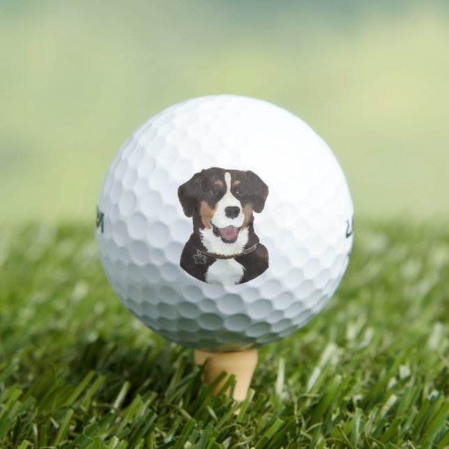 Entlebucher Mountain Dog Golf Balls (Insitu Tee)