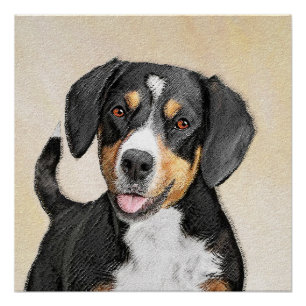 Entlebucher Mountain Dog Painting - Original Art Poster