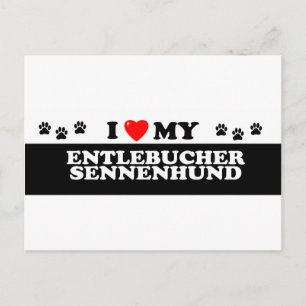 ENTLEBUCHER SENNEHUND_ POSTCARD