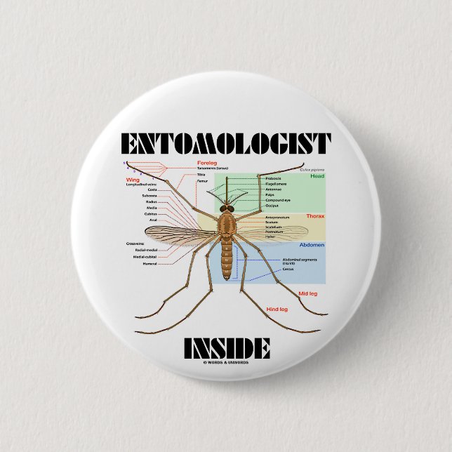 Entomologist Inside (Mosquito Anatomy) 2 Inch Round Button (Front)