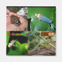 Entomologistes des Magnets de couleur