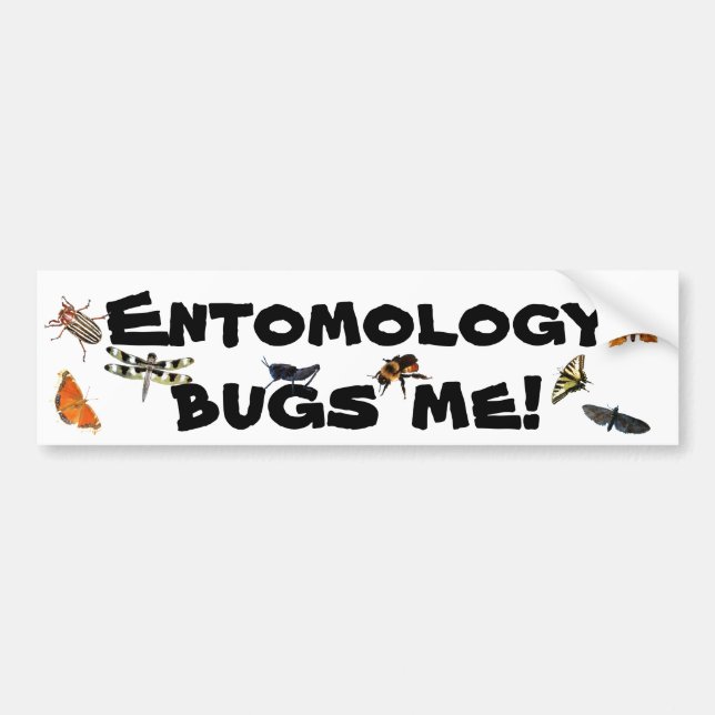 Entomology Bugs Me Pun Bumper Sticker (Front)
