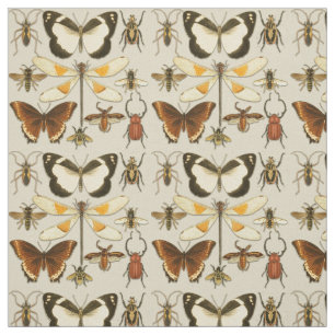 Entomology Butterfly Insects Vintage Illustrations Fabric