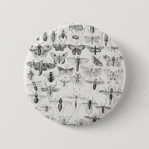 Entomology from A history of the earth and animate 2 Inch Round Button